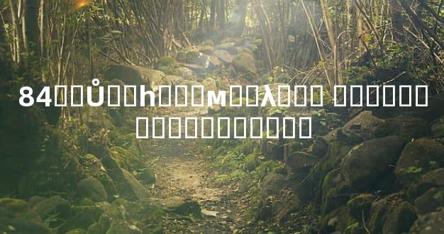 84��Ů��һ���м��λ��� �����